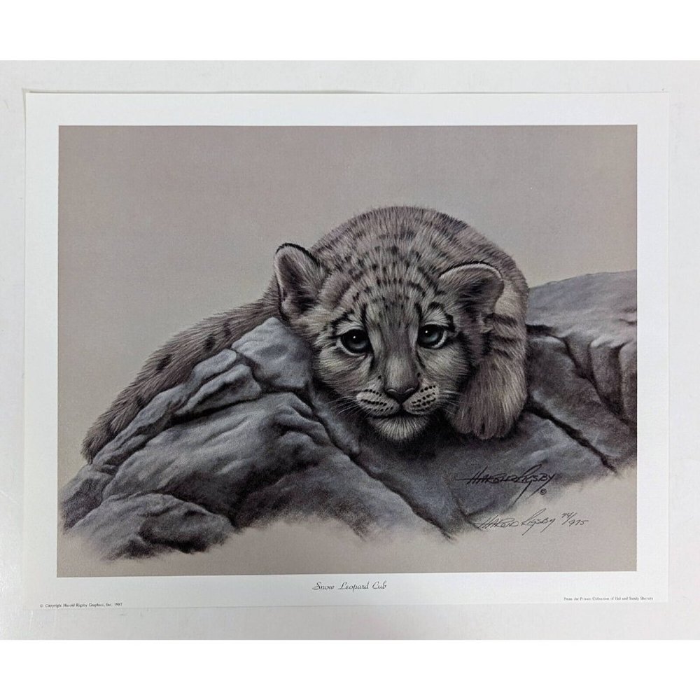 Harold Rigsby Print 1987 SNOW LEOPARD CUB 20 X 16" LIMITED 74/975 Signed
